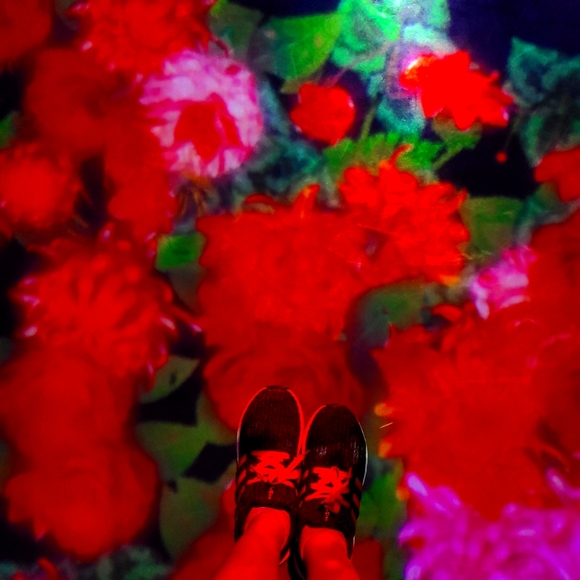 Meet your Posher, Alice - Picture 1 of 1